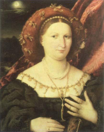 Lorenzo Lotto portrait of lucina brembati oil painting picture